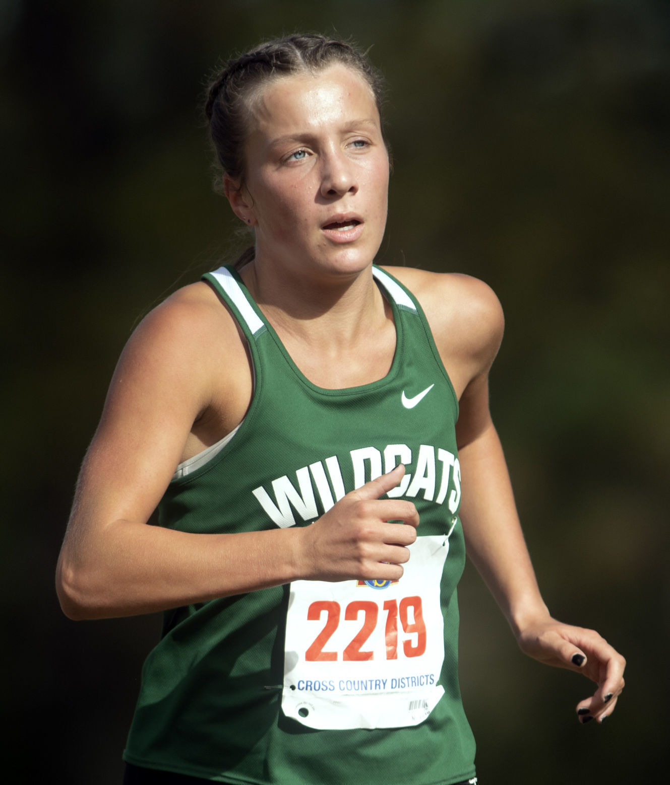 District cross country, 10.14